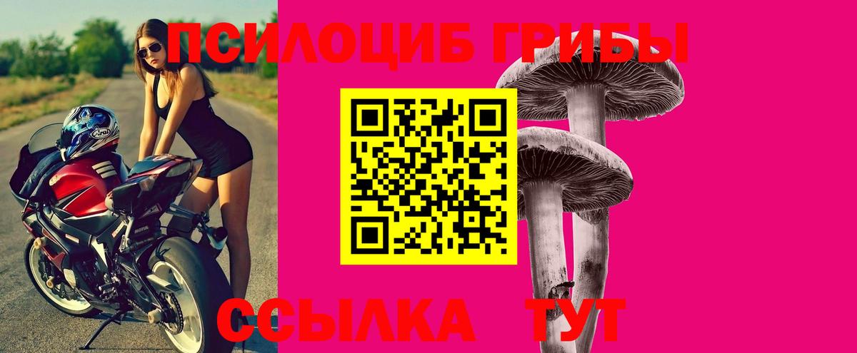 Юрга  Псилоцибиновые грибы Psilocybine cubensis  Псилоцибиновые грибы ЛСД  Вход с VPN 